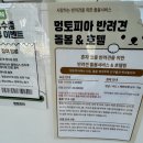 멍토피아 이미지