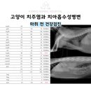 금호동물병원 이미지