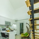 스파벨리스 이미지