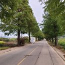 죽동마을회관앞 이미지