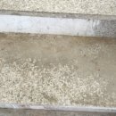 천북보건지소 이미지