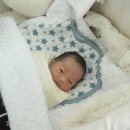 엄조산원 네이버블로그