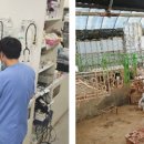 씨밀레동물병원 이미지