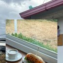제주 구좌읍 월정리해수욕장 근처 카페 샌드위치·포케 맛집 보울로우｜@bowllow_jeju