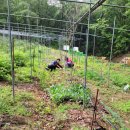 장척농장 이미지