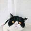 영화로 배우는 영어회화 이미지