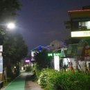 외정황토못메기 이미지