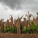 이철 농장 이미지