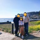 [카페 루시아] 압도적인 박수기정과 바다 뷰가 환상적인 난드르카페 벌써 3번째 방문 솔직 후기!