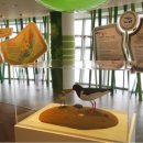 서산버드랜드 전시관(2층) 이미지