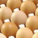 (주)올품 사벌부화장 이미지