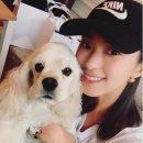 보라네 서울신문
