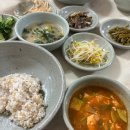 순돌이보리밥 | 부산 해운대 밥집 맛집 추천 내돈내산 후기 순돌이 보리밥