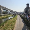 선기로-5 Daum카페