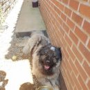 해피트리 동물병원 이미지