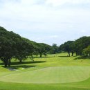 혜지우스크린골프 이미지