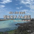 포구로 | 제주도 서쪽 스노쿨링 판포포구 간조 물놀이 솔직후기 (물없을때)