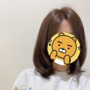 헤어보고미용실 이미지