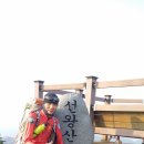 딱부리자동차공업사 Daum카페