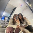 렉스코인 노래연습장 군자점 이미지