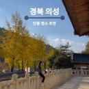 점곡초등학교 | 경북 대구근교 단풍명소 추천 사촌전통마을 최치원문학관