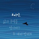 모비딕 이미지