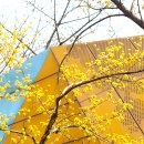 용두공원 앞 이미지