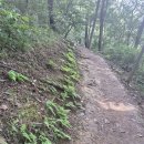 구봉도 낙조전망대 이미지