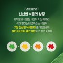 트루그린 이미지