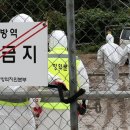 혜훈농장 네이버블로그