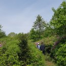 평화강변수목캠핑장 이미지