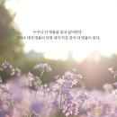 엘로힘 하나님이 만드셨다면, 다 하늘나라 명품들입니다^^ 이미지