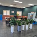 알미산로 | [안성 정쉐프30년사골고기짬뽕] 안성에는 흔하지 않은 사골짬뽕집 리뷰