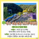 전라남도 유아숲체험원 이미지