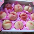 복숭아과수원집
