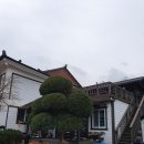 다숲스키샵 이미지