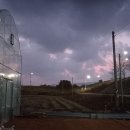 화랑농장 이미지