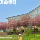 기지시줄다리기박물관 이미지