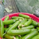 우성2농장 이미지