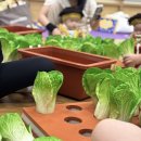 오감톡톡 인지톡톡 싱글벙글(6~10개월) | 신도림 이마트 문센 “오감톡톡 인지톡톡 싱글벙글 가을학기 수업”후기