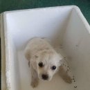 이서면사무소 이미지