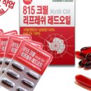 오일엠 이미지