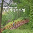 경기도 당일치기 가볼만한곳 양주 장흥자생수목원 포토스팟, 꿀팁