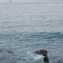 동백섬민박 이미지