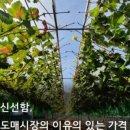 주식회사 식자재마트 이미지