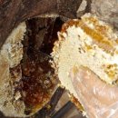 잡학다식 이미지