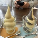 울릉푸른나무 이미지