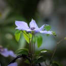 정이농장 이미지