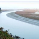 대박풍천장어 이미지