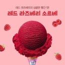 레인보우아이스크림 - 목포시 당가두로13번길 8 | 레인보우아이스크림